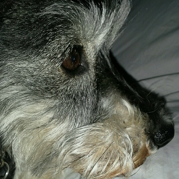 Meet your Posher, Stacey - Picture 1 of 1